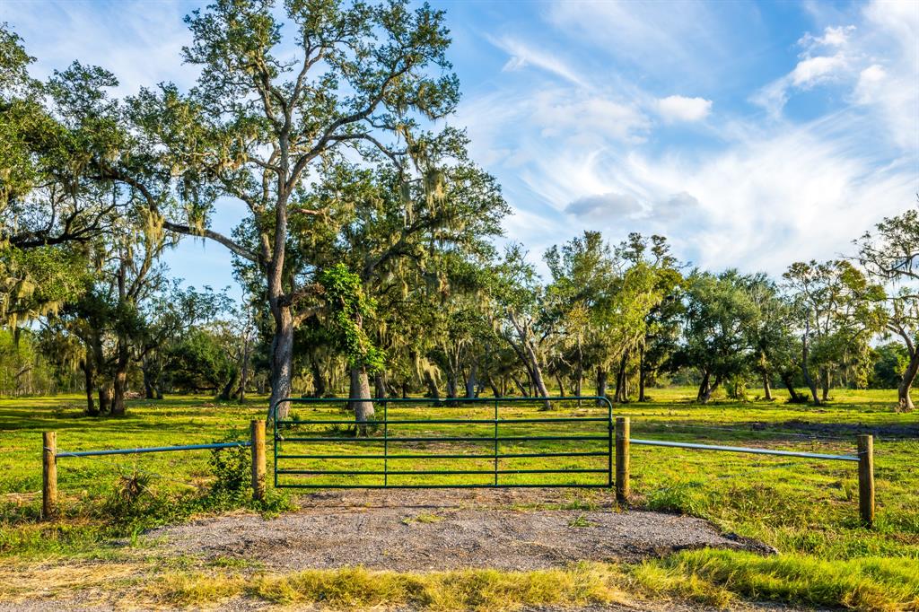 5125 Cr 700, Brazoria, Texas image 9