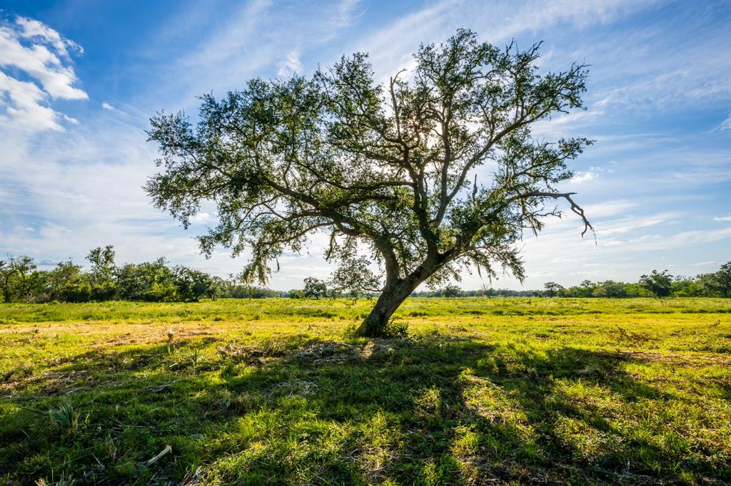 5125 Cr 700, Brazoria, Texas image 4