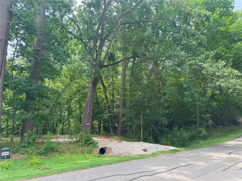 Photo of 77 S Pine Harbour Drive, Coldspring, TX 77331 (MLS # 47803752)
