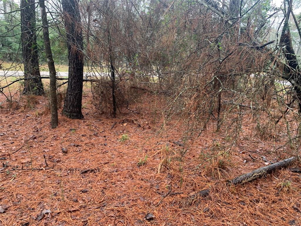 Lot 13 Brownbark, Magnolia, Texas image 6