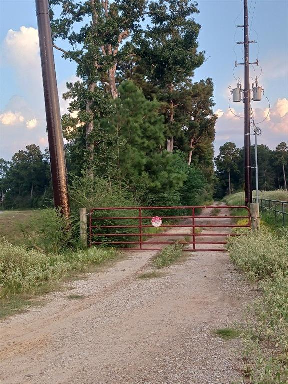 24124 Grand Pines Road, Magnolia, Texas image 1