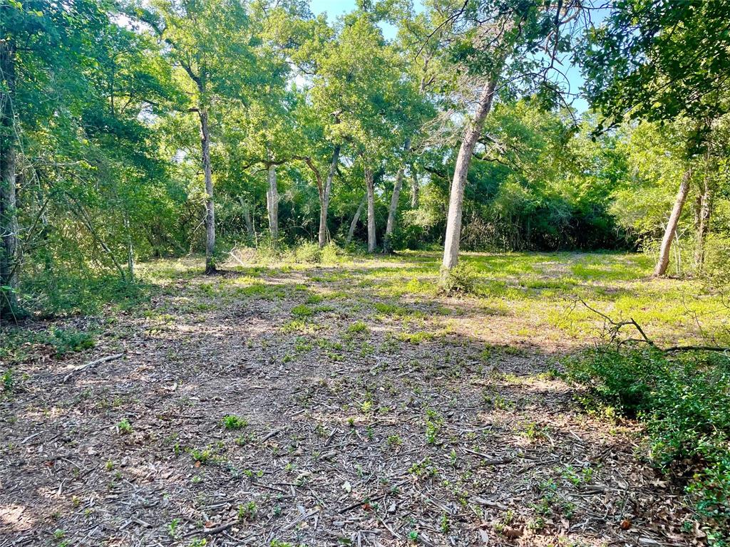 9264 Stetson Drive, Normangee, Texas image 17