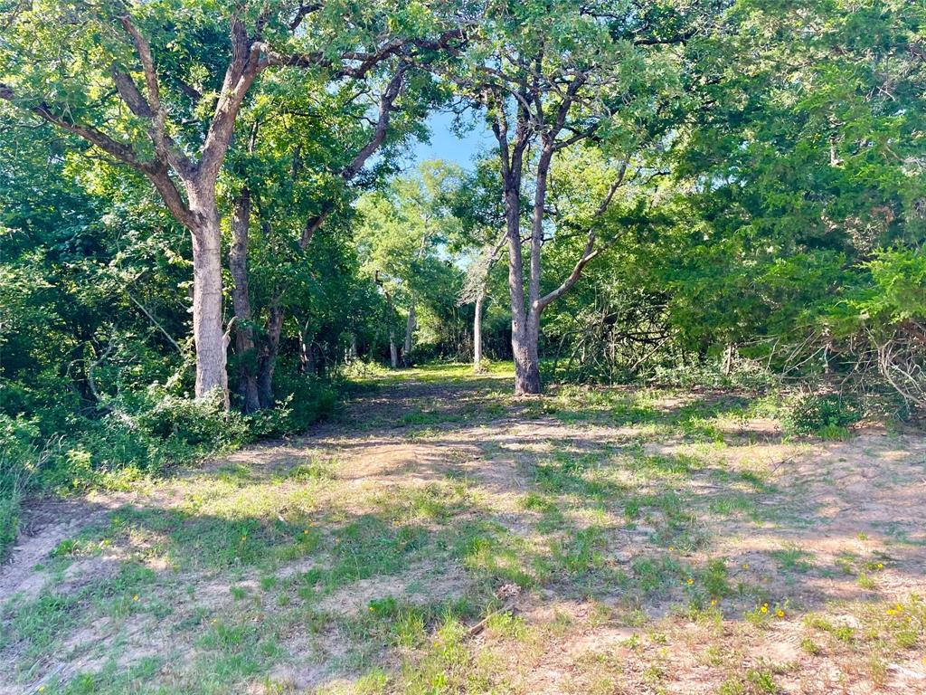 9264 Stetson Drive, Normangee, Texas image 8