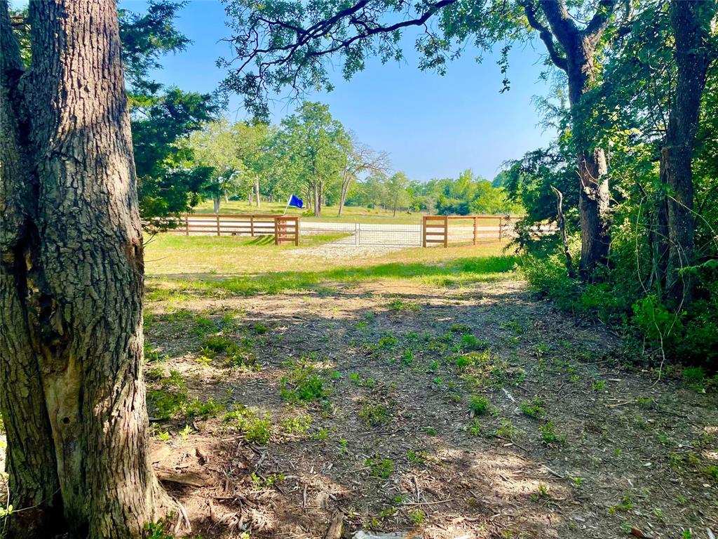 9264 Stetson Drive, Normangee, Texas image 6