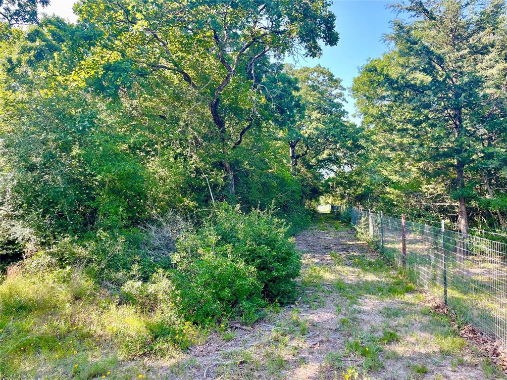 9264 Stetson Drive, Normangee, Texas image 11