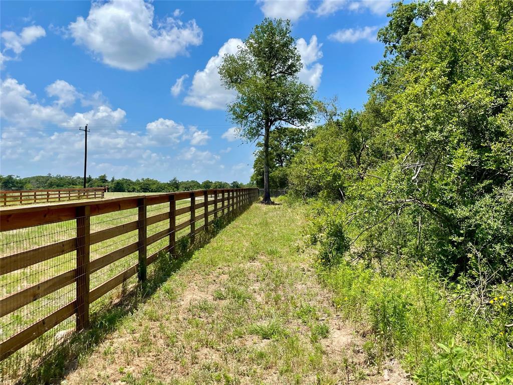 9264 Stetson Drive, Normangee, Texas image 20