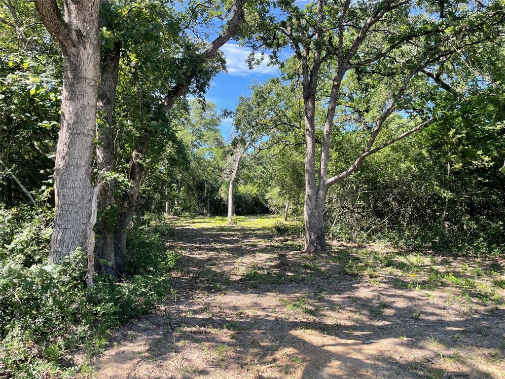 9264 Stetson Drive, Normangee, Texas image 7