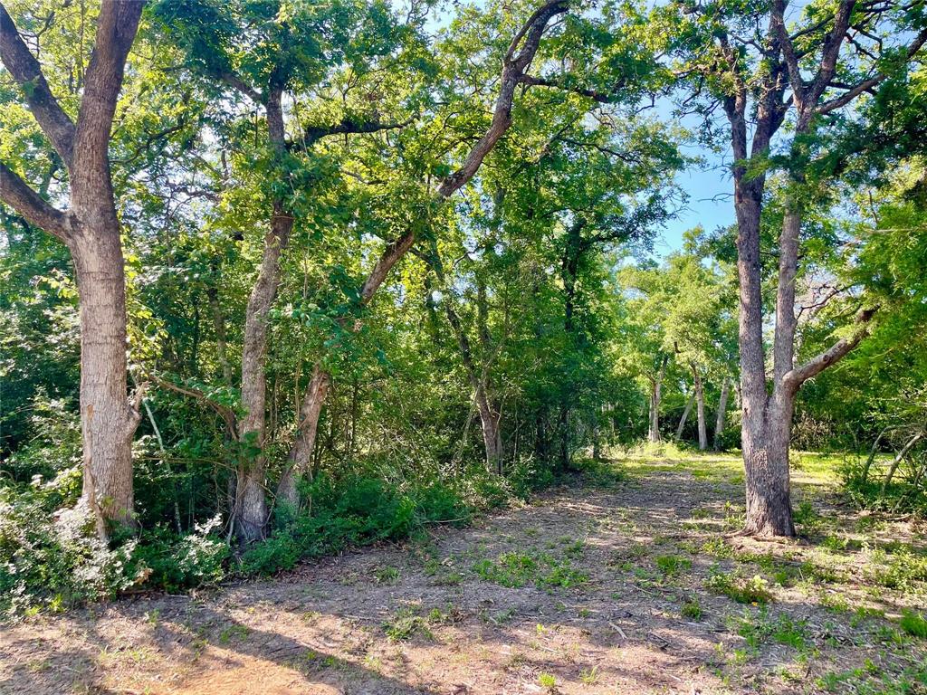 9264 Stetson Drive, Normangee, Texas image 19