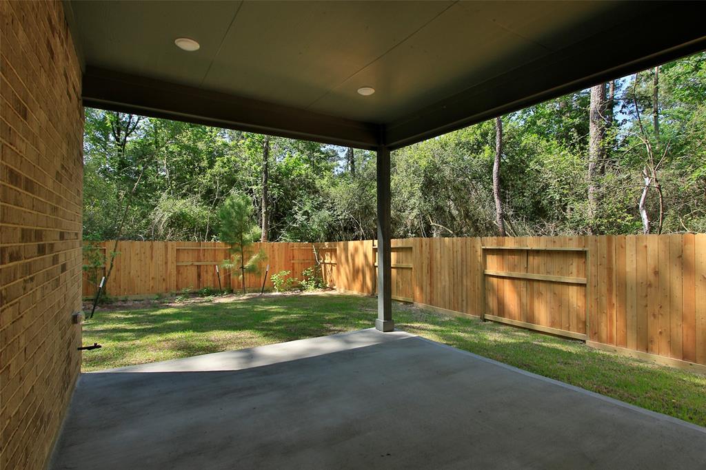 235 Brecon Buff Drive, Willis, Texas image 36