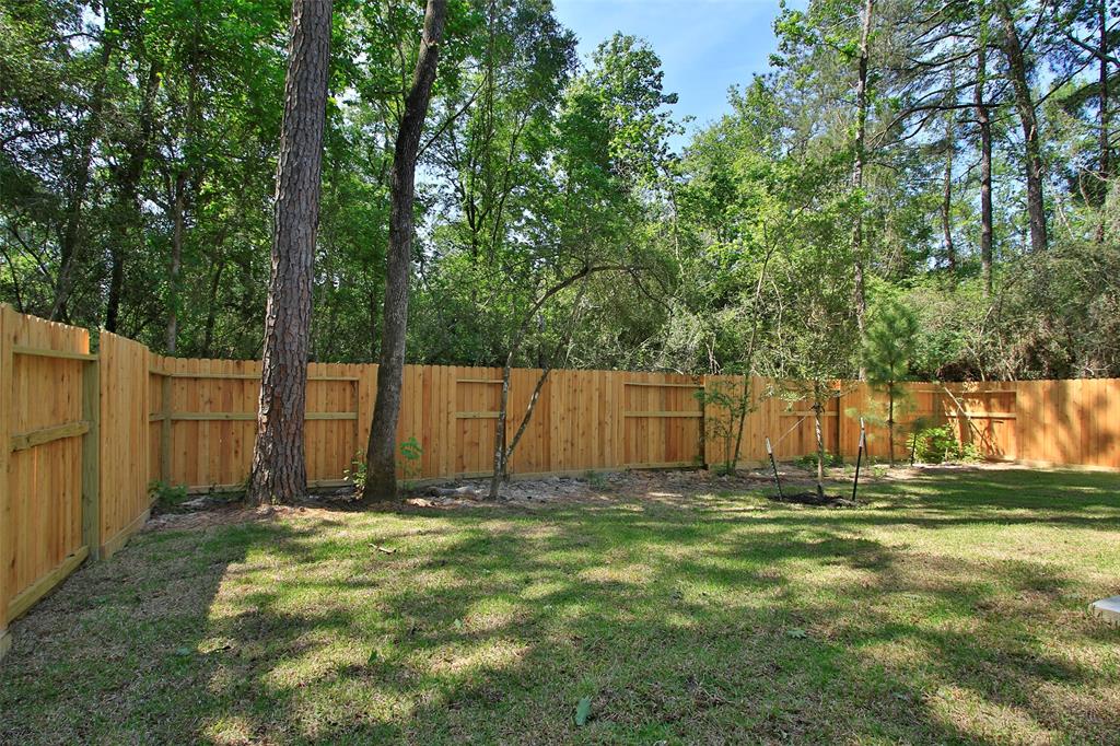 235 Brecon Buff Drive, Willis, Texas image 42