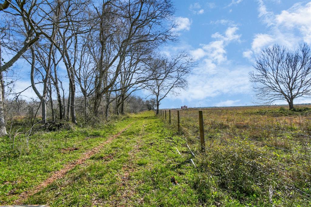 County Road 39 Off Redwood, Rosharon, Texas image 18