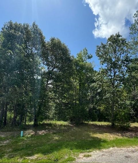 32 Silver Lakes Drive Huntsville TX 77340
