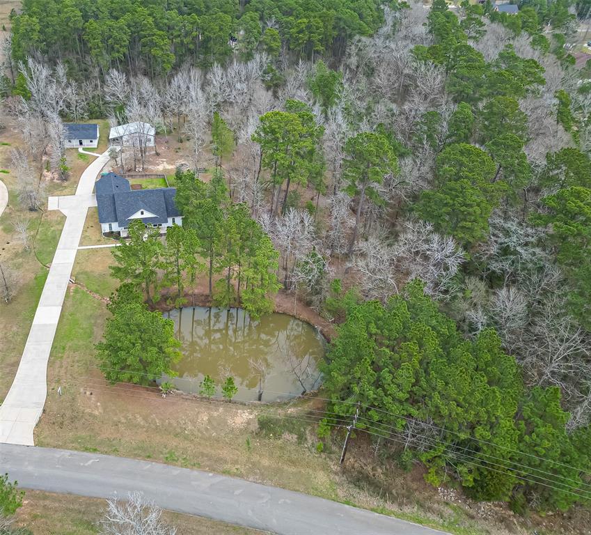 24 Hidden Springs Ranch Drive, Willis, Texas image 45