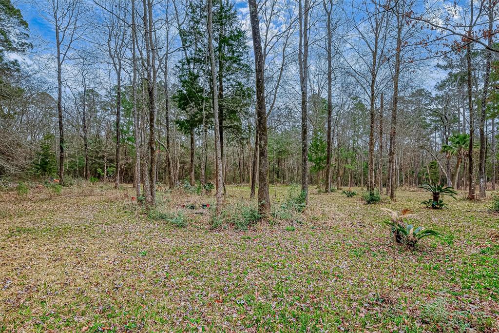 24 Hidden Springs Ranch Drive, Willis, Texas image 48