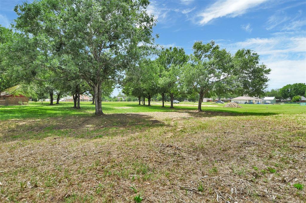 LOT 12 White Wing Drive, Waller, Texas image 5