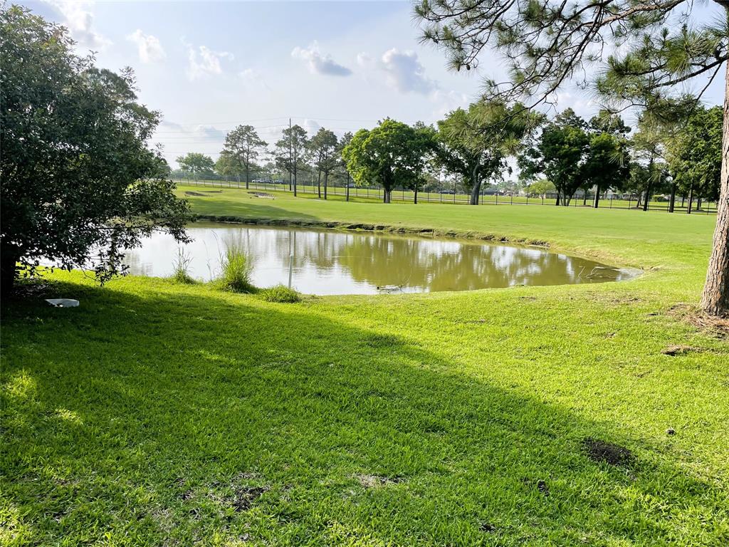 3327 Flower Field Lane, Pearland, Texas image 17