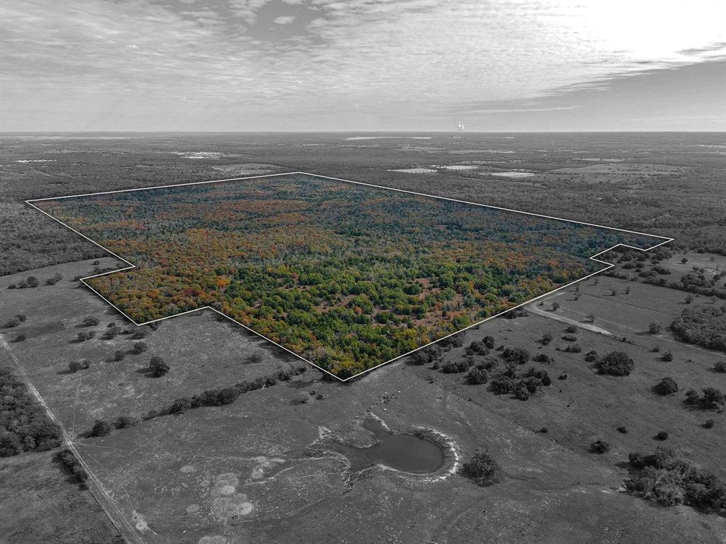 TBD 599.78 Acres Lcr 700, Kosse, Texas image 2