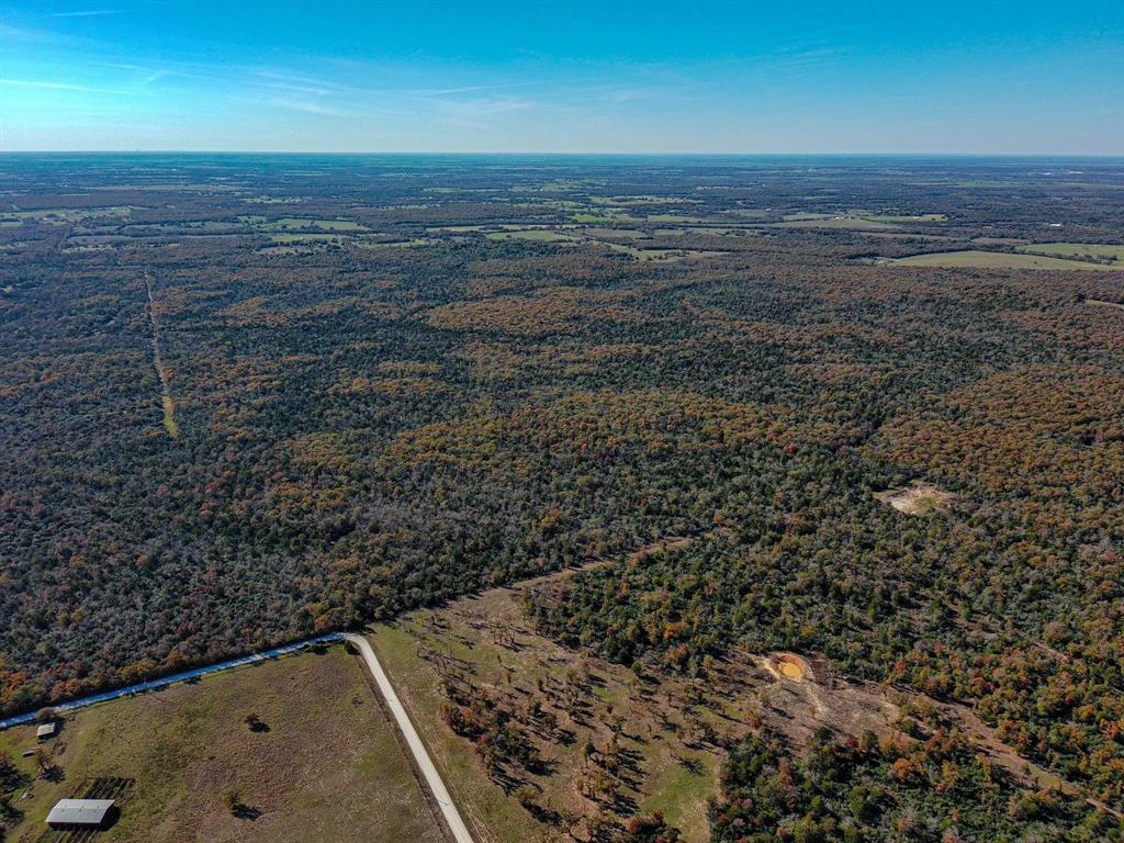 TBD 599.78 Acres Lcr 700, Kosse, Texas image 7