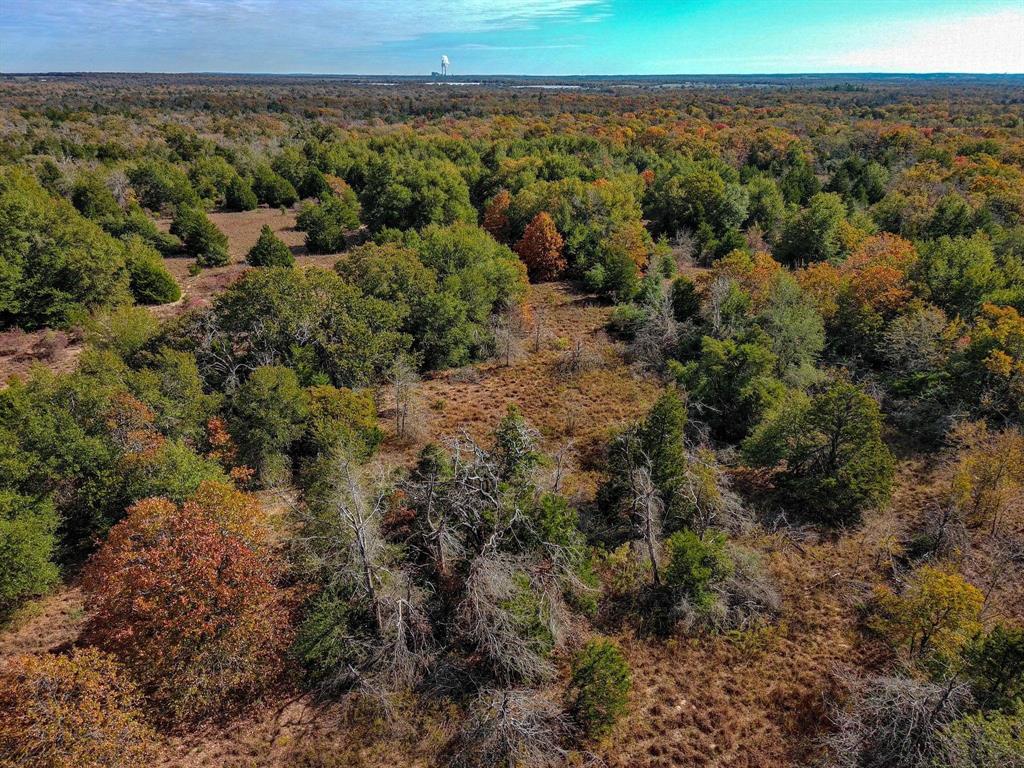 TBD 599.78 Acres Lcr 700, Kosse, Texas image 5