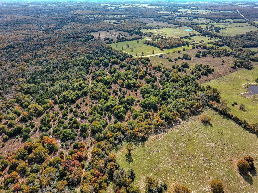 TBD 599.78 Acres Lcr 700, Kosse, Texas image 6