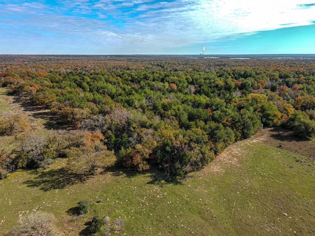 TBD 599.78 Acres Lcr 700, Kosse, Texas image 4