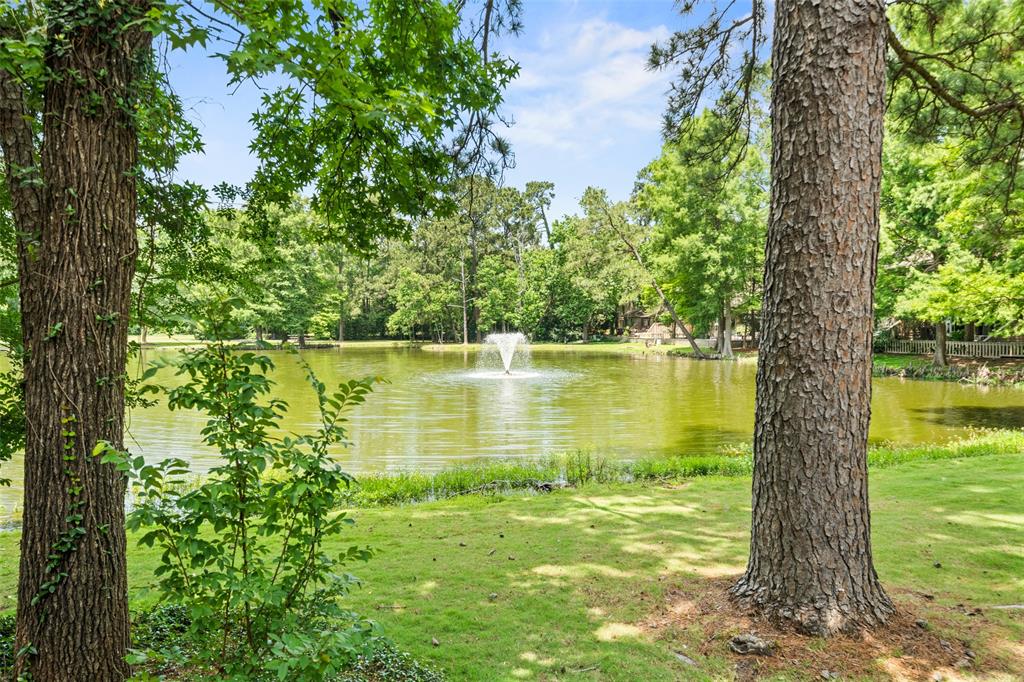 27 N Lakeridge Circle, The Woodlands, Texas image 20