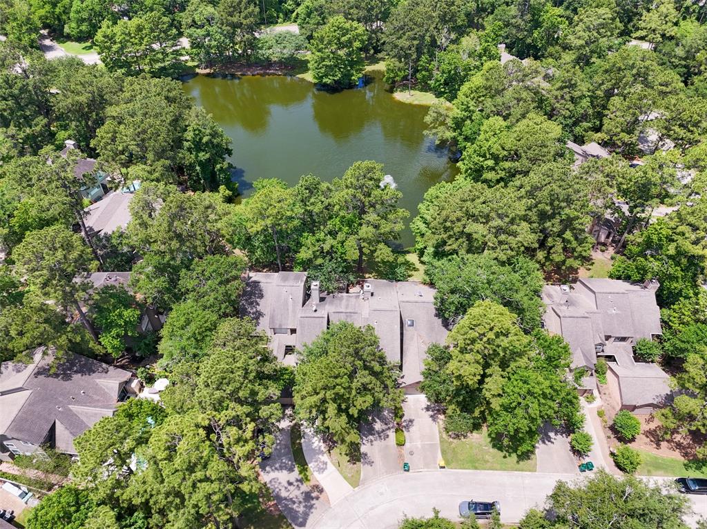 27 N Lakeridge Circle, The Woodlands, Texas image 22