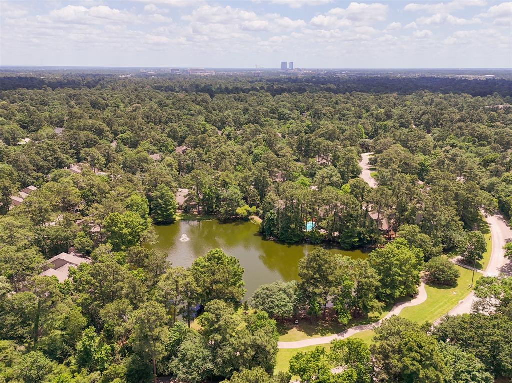 27 N Lakeridge Circle, The Woodlands, Texas image 23