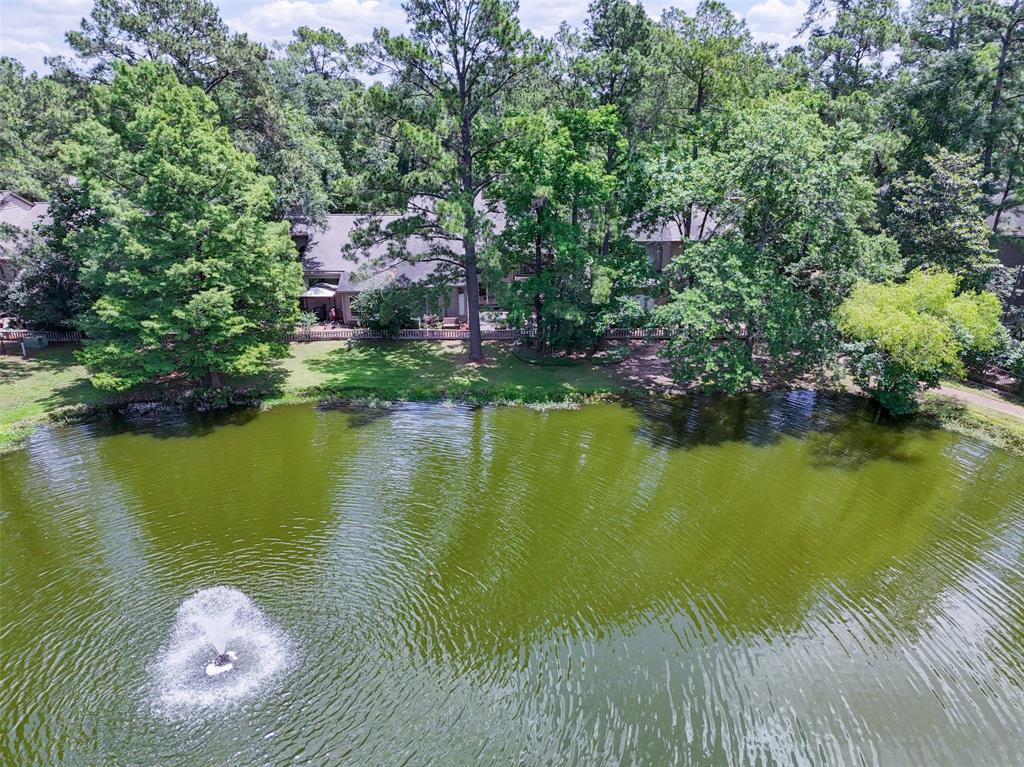 27 N Lakeridge Circle, The Woodlands, Texas image 24