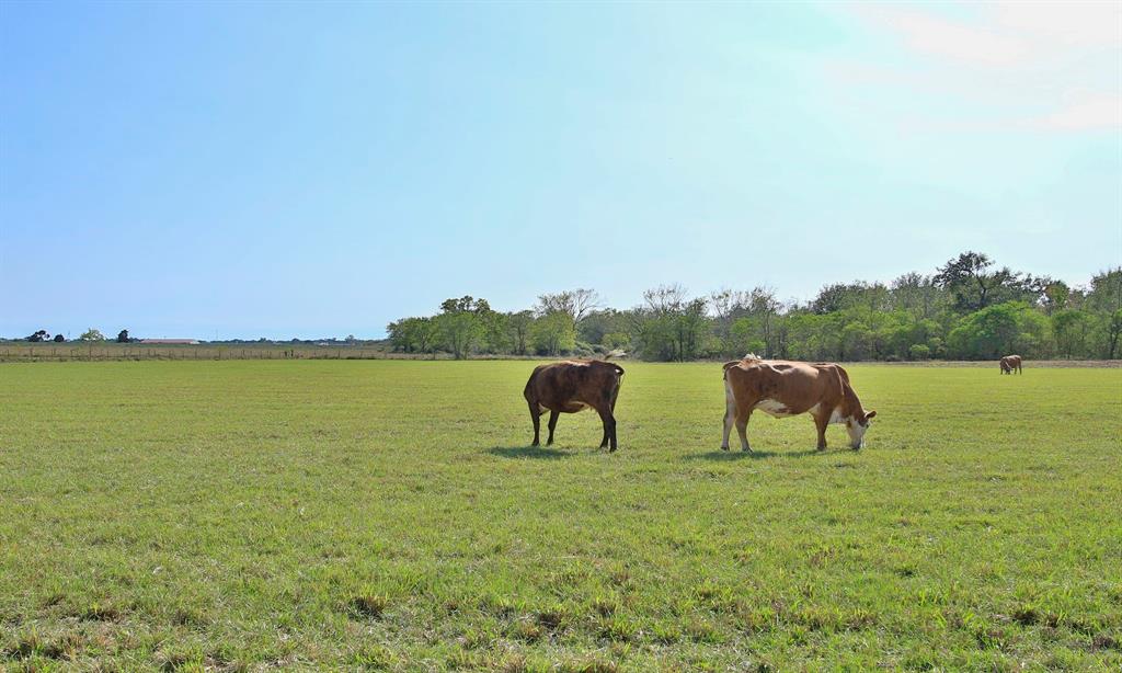 21520 Fm 362 Road, Waller, Texas image 10