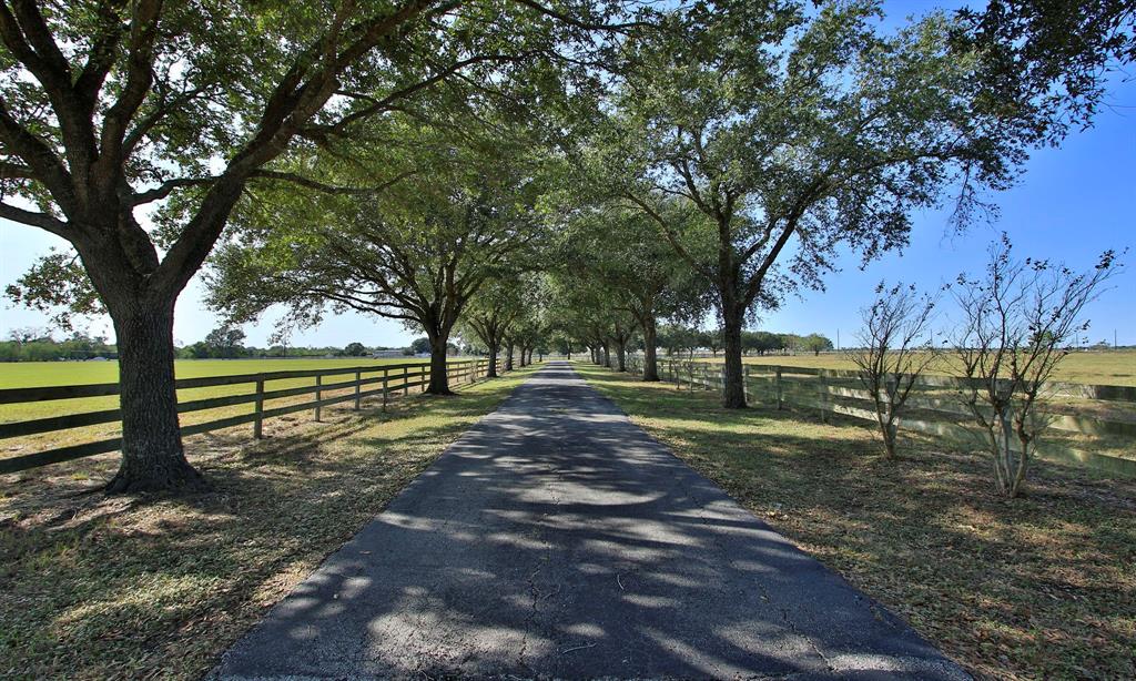 21520 Fm 362 Road, Waller, Texas image 8