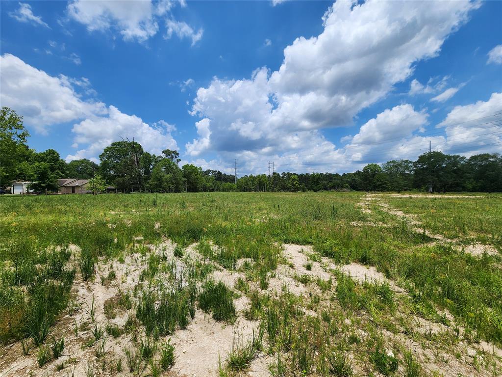 15029 Calhoun Road, Conroe, Texas image 2