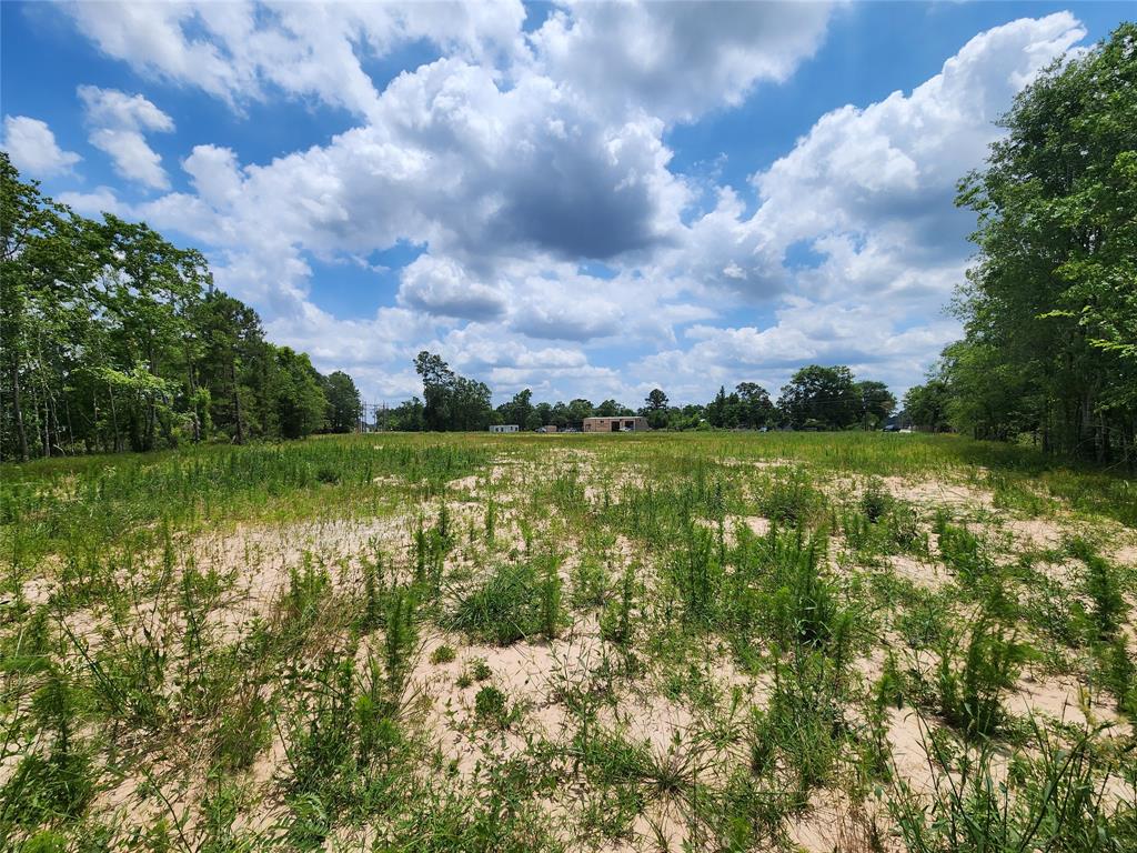 15029 Calhoun Road, Conroe, Texas image 5