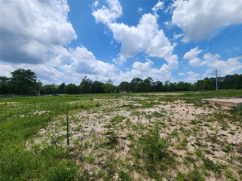 15029 Calhoun Road, Conroe, Texas image 11