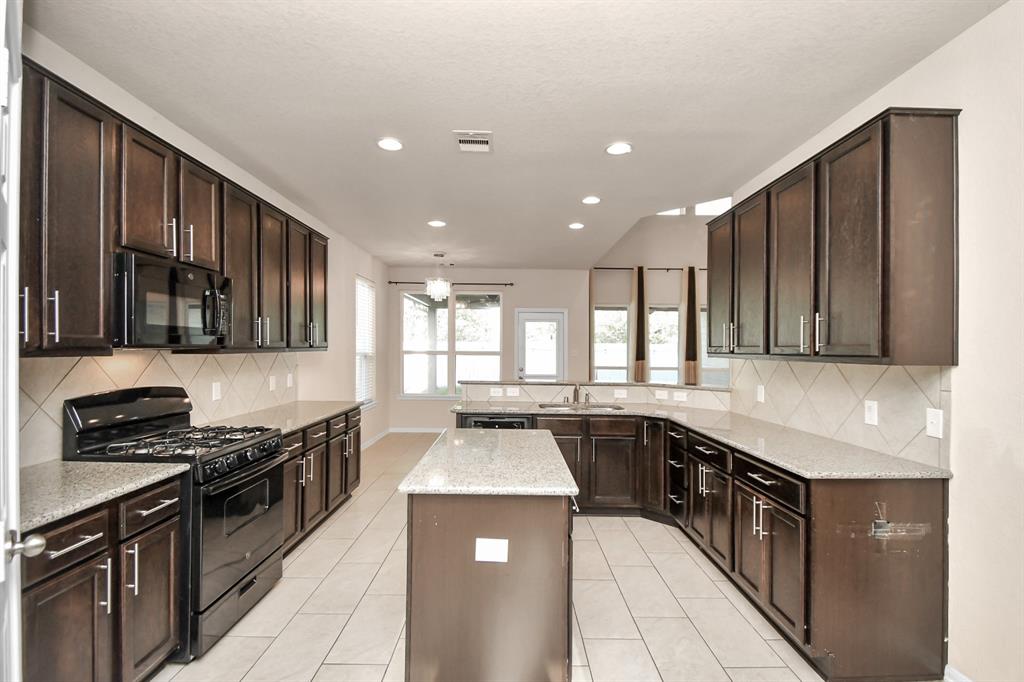 14542 Northern Mountain Court, Houston, Texas image 13