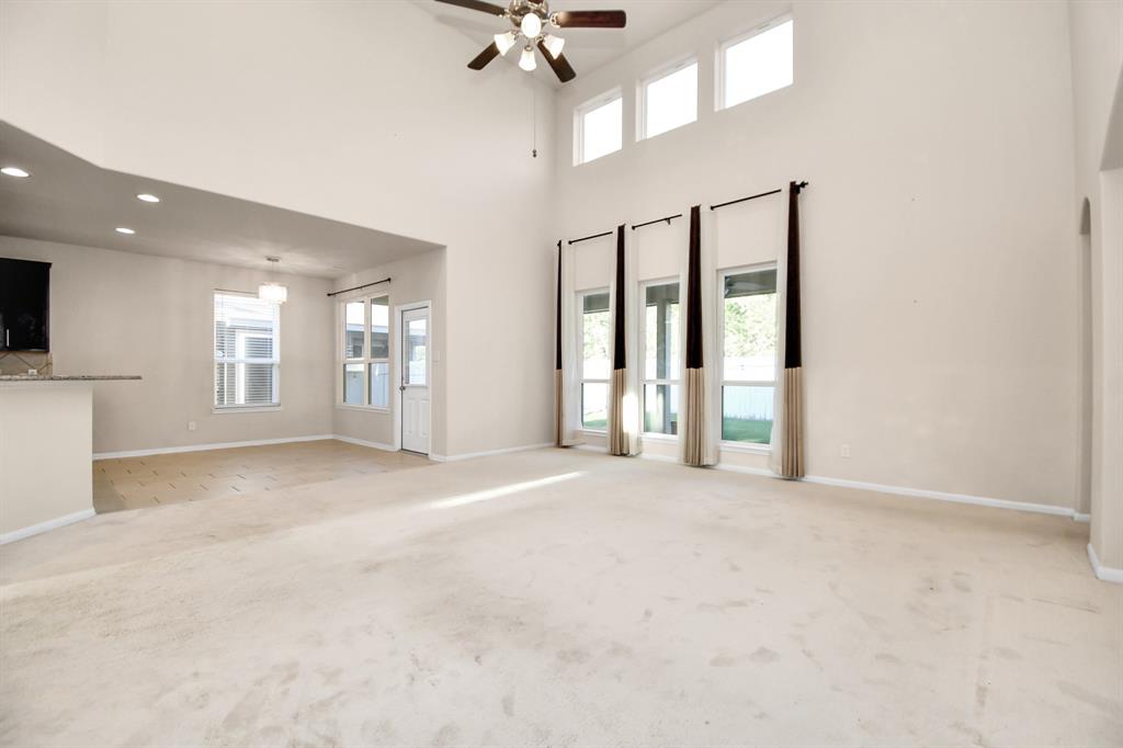 14542 Northern Mountain Court, Houston, Texas image 9