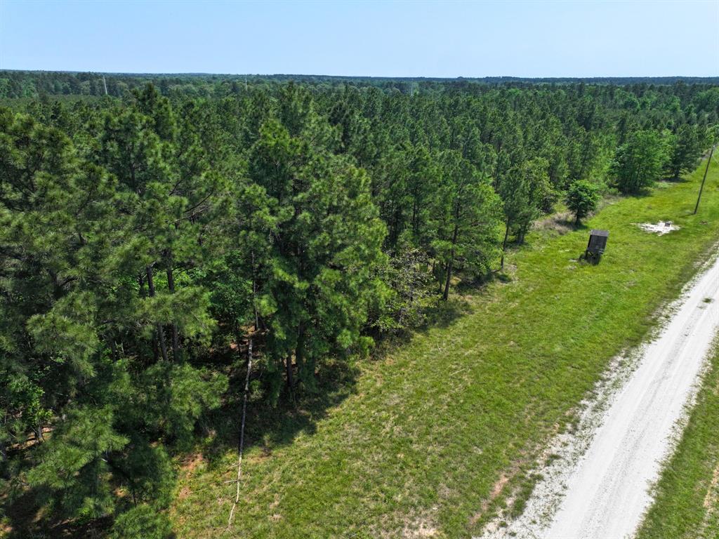 Lost Creek Road, Lovelady, Texas image 15