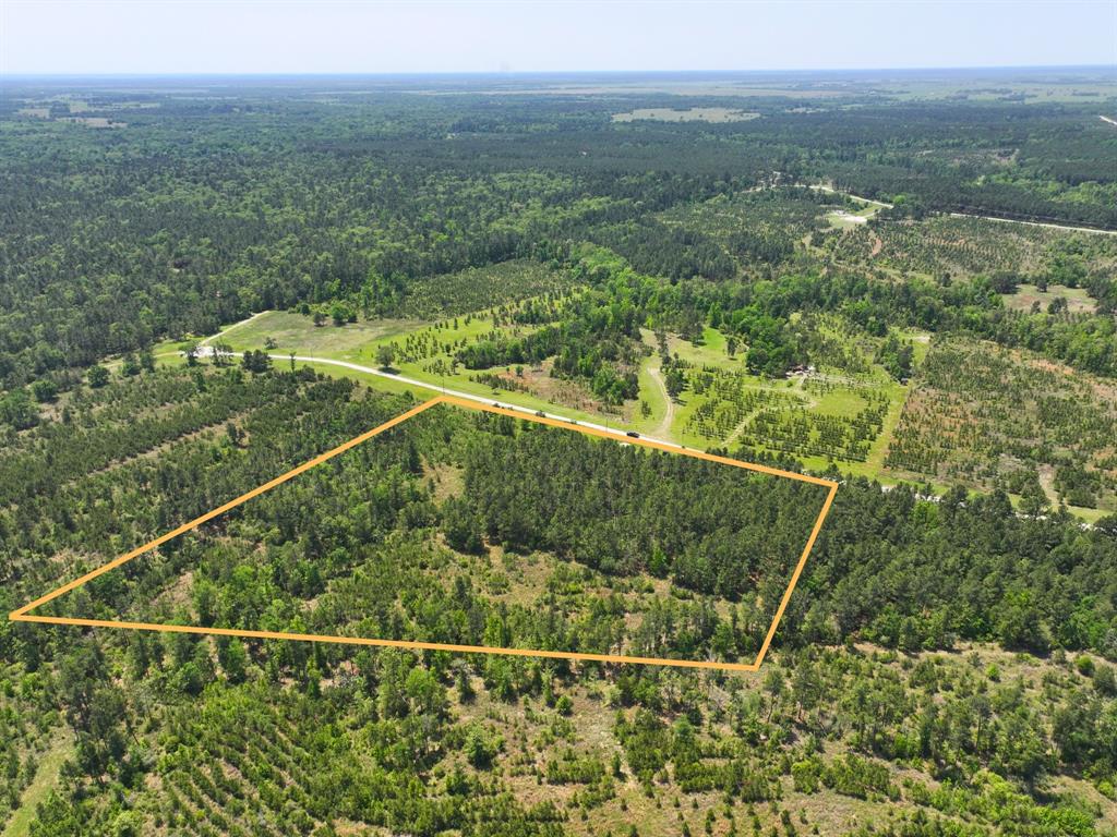 Lost Creek Road, Lovelady, Texas image 14