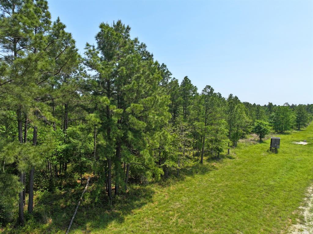 Lost Creek Road, Lovelady, Texas image 16