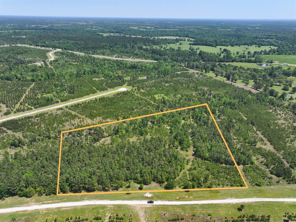 Lost Creek Road, Lovelady, Texas image 2