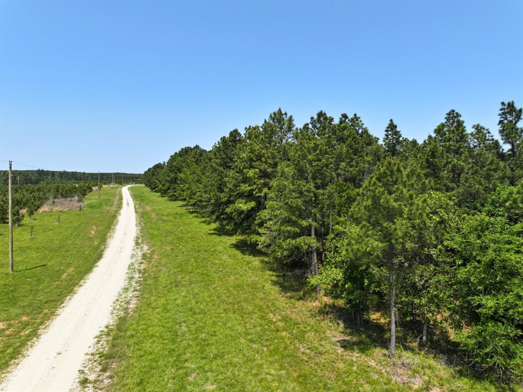 Lost Creek Road, Lovelady, Texas image 6