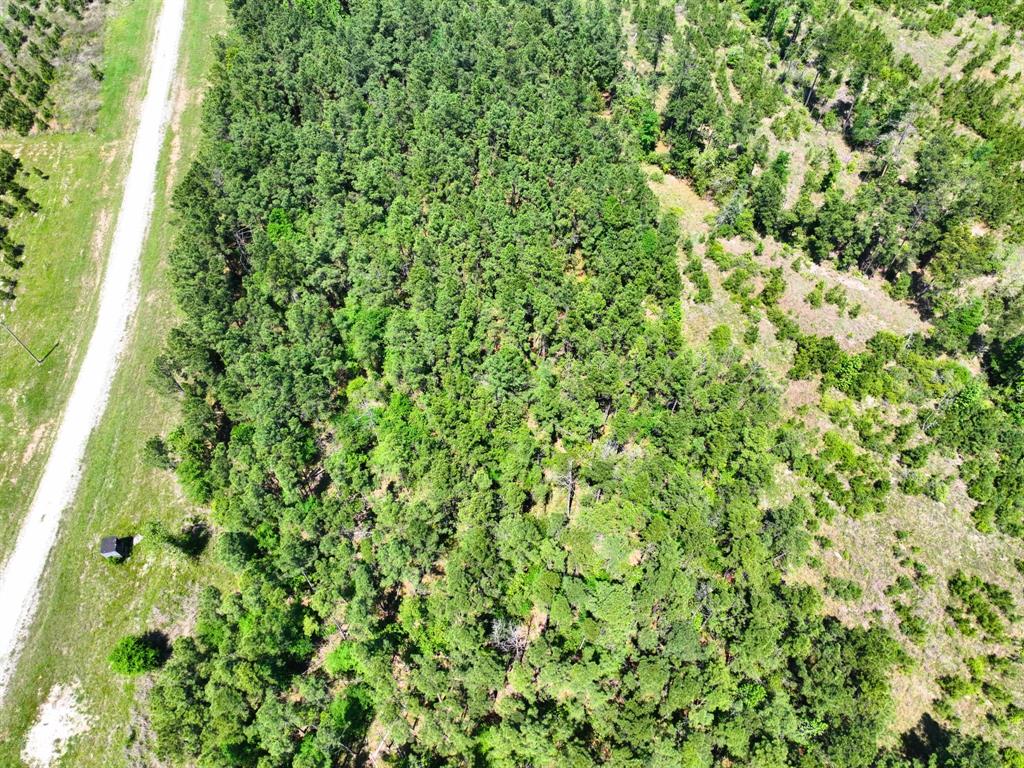 Lost Creek Road, Lovelady, Texas image 13