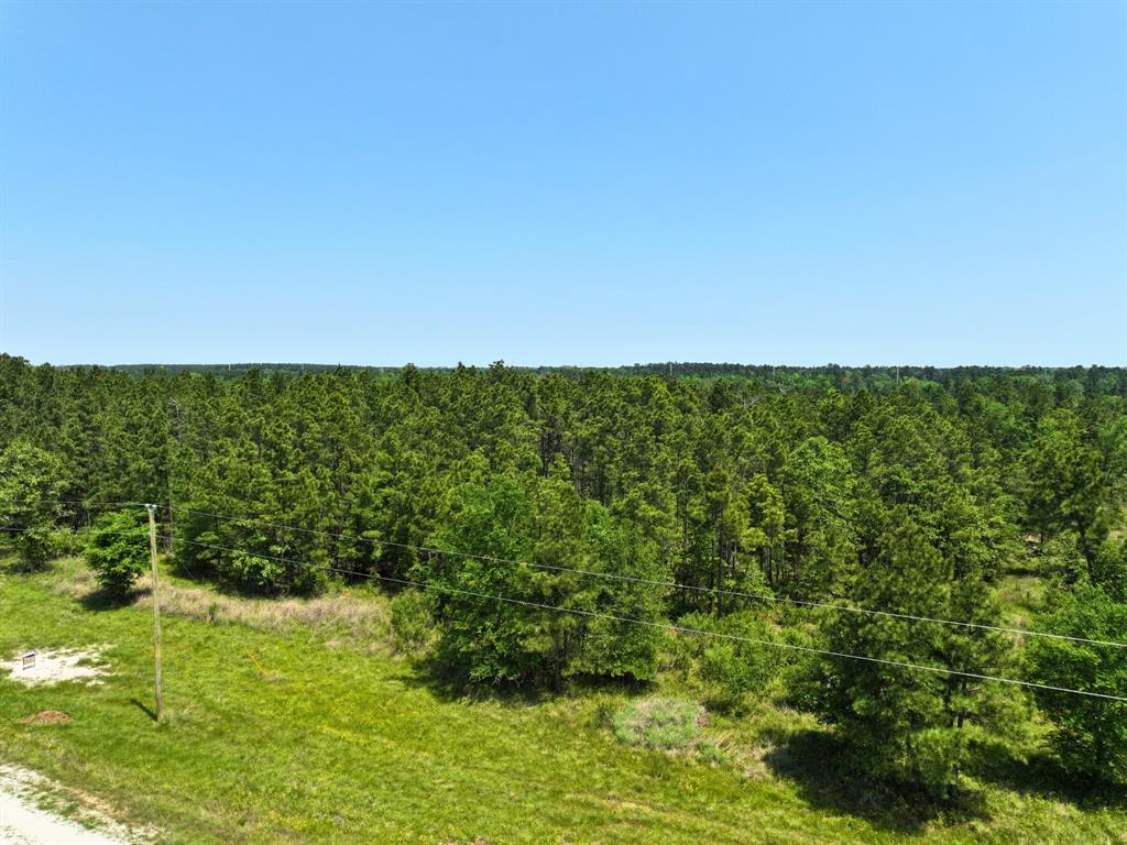 Lost Creek Road, Lovelady, Texas image 11