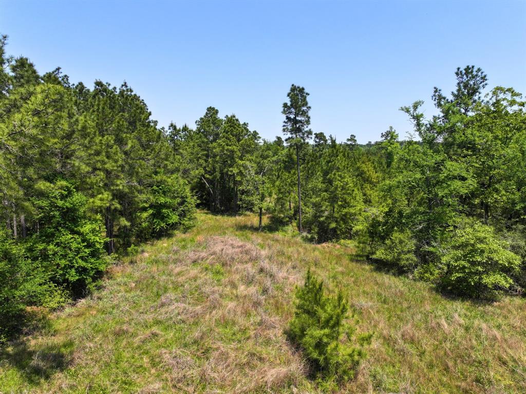 Lost Creek Road, Lovelady, Texas image 8