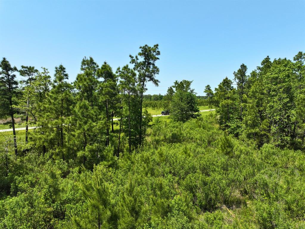 Lost Creek Road, Lovelady, Texas image 10