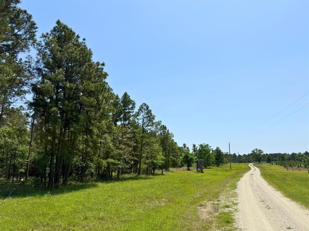 Lost Creek Road, Lovelady, Texas image 17