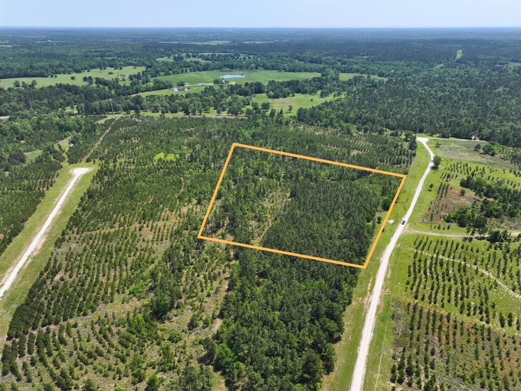 Lost Creek Road, Lovelady, Texas image 7