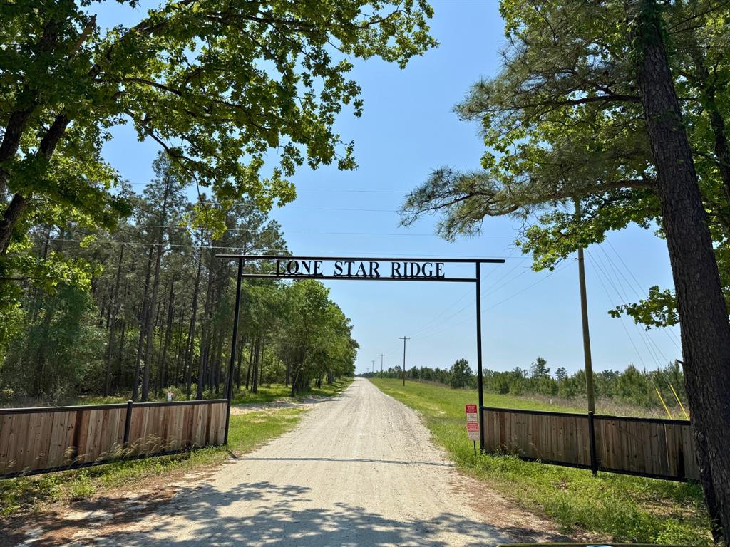 Lost Creek Road, Lovelady, Texas image 1
