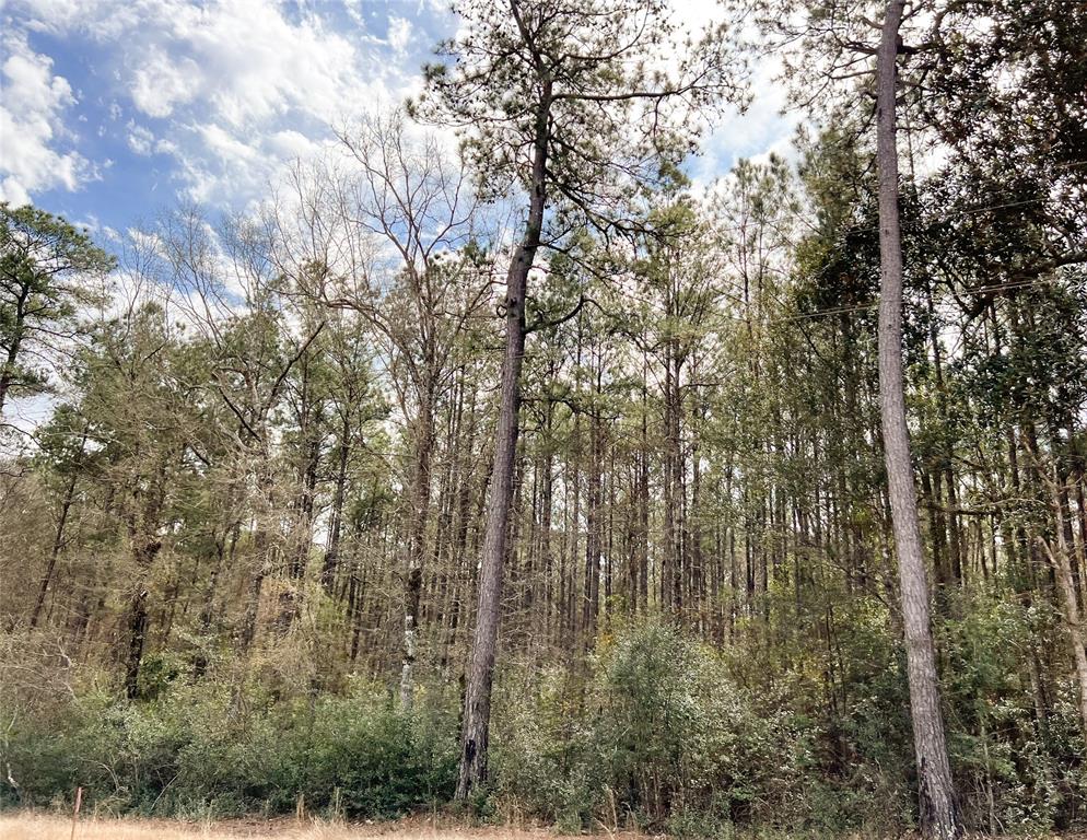 6 Fm 1746, Spurger, Texas image 7