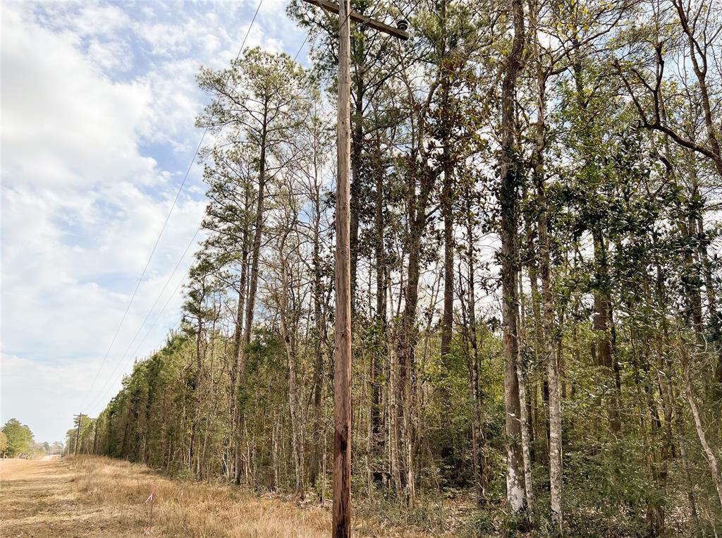 6 Fm 1746, Spurger, Texas image 3